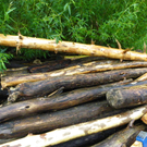 Bild 876_jpg-1280423567