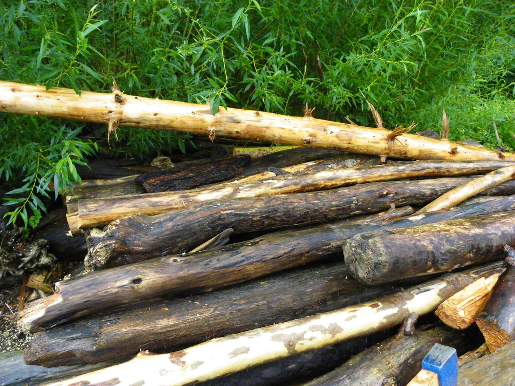 Bild 876_jpg-1280423567