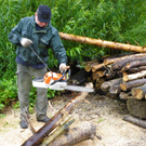 Bild 890_jpg-1280423579