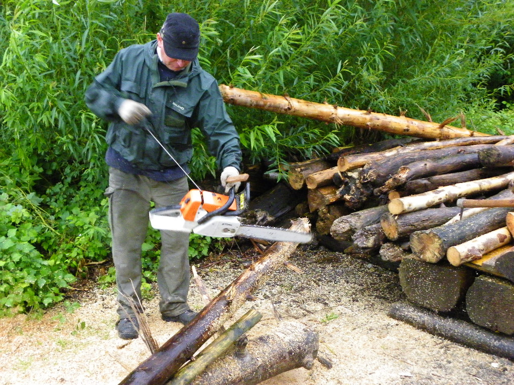 Bild 890_jpg-1280423579