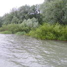 Bild 870_jpg-1280423655