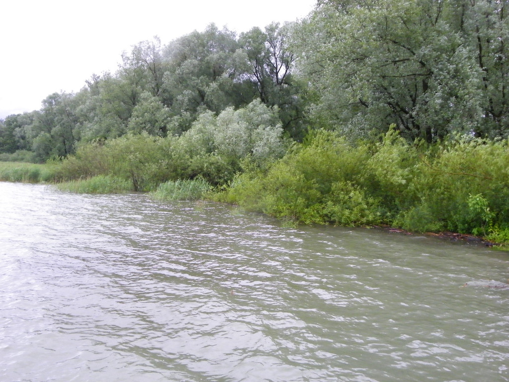 Bild 870_jpg-1280423655