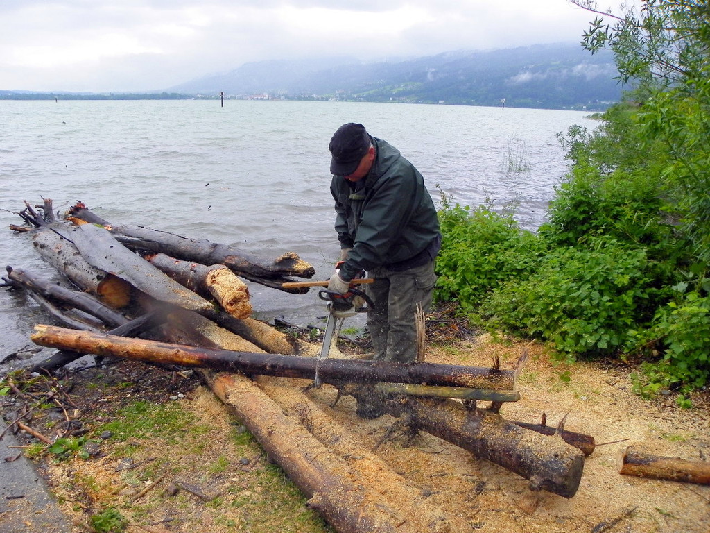 Bild 899_jpg-1280423611