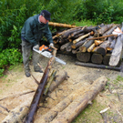 Bild 895_jpg-1280423589