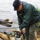 Bild 898_jpg-1280423600