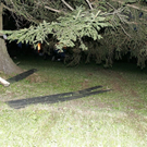 normal_29072010vuseeffaktivnews_105.jpg