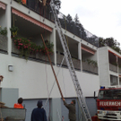 30072010189.jpg
