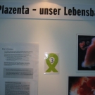 Erlebnis Ausstellung