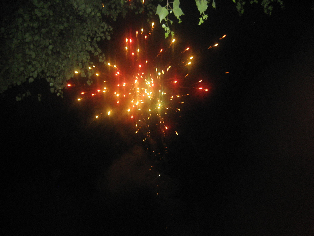 Grillabend Juli 2010 041_jpg-1280484437