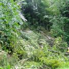 Unwetter_100730_03_jpg-1280501540