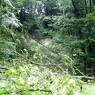 Unwetter_100730_04_jpg-1280501545