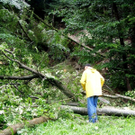 Unwetter_100730_05_jpg-1280501555