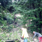 Unwetter_100730_07_jpg-1280501560
