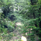 Unwetter_100730_08_jpg-1280501565