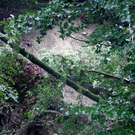 Unwetter_100730_09_jpg-1280501569