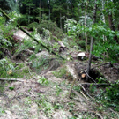 Unwetter_100730_11_jpg-1280501574