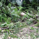 Unwetter_100730_12_jpg-1280501580