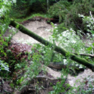 Unwetter_100730_14_jpg-1280501590
