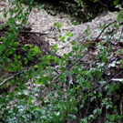 Unwetter_100730_15_jpg-1280501596