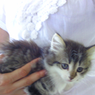 BILD0064_JPG-1280501645