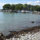 IMG_2869_JPG-1280521566