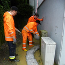Bild 049_jpg-1280522174