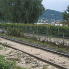 Hochwasser II Freitag 30-07-2010 _23__jpg-1280558830