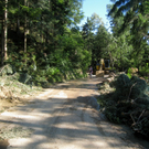 Pfaenderstrasse gesperrt _30__jpg-1280560133