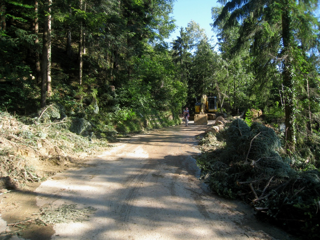 Pfaenderstrasse gesperrt _30__jpg-1280560133