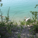 DSC01519_JPG-1280581595