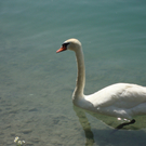 DSC01522_JPG-1280581687