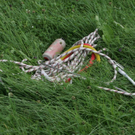 normal_31072010uberg2ffmwaktivnews_065.jpg
