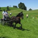 Impressionen vom Rösslerfest