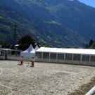 Bild 006_jpg-1280681399