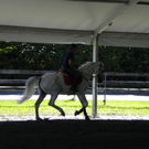 Bild 010_jpg-1280681501
