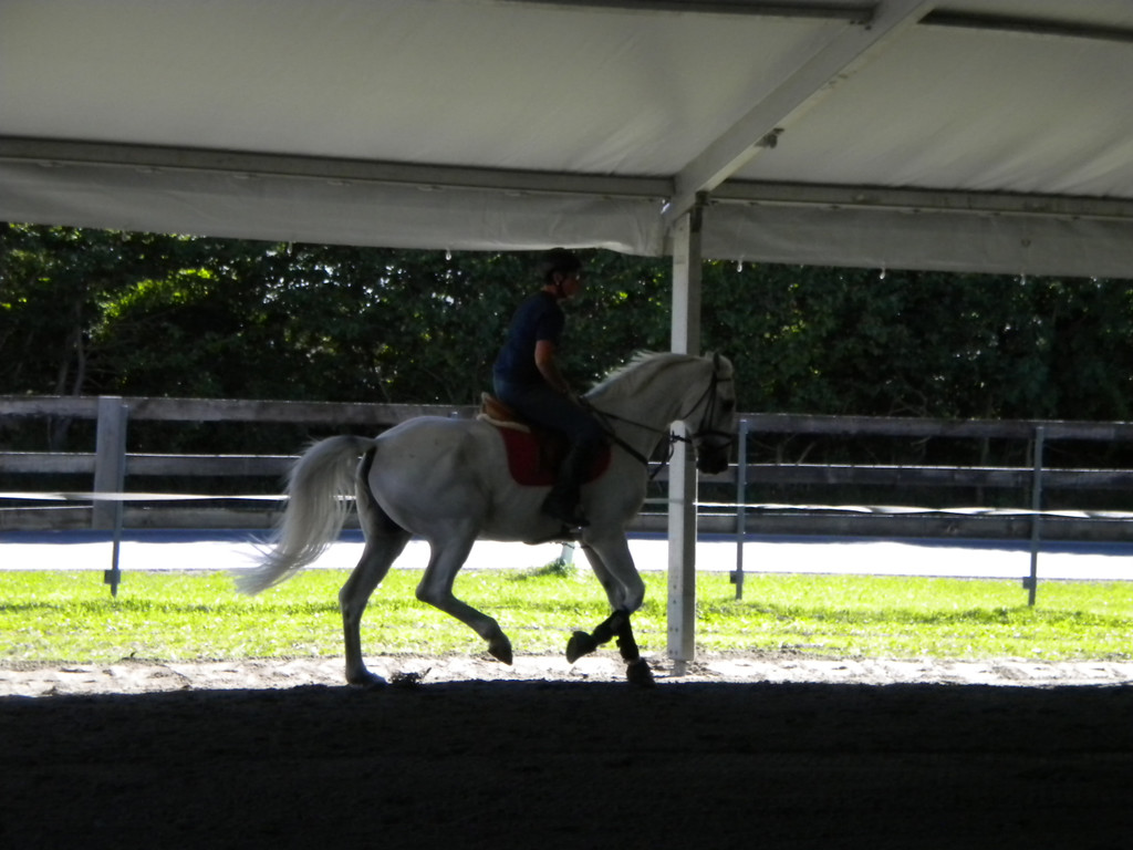 Bild 010_jpg-1280681501