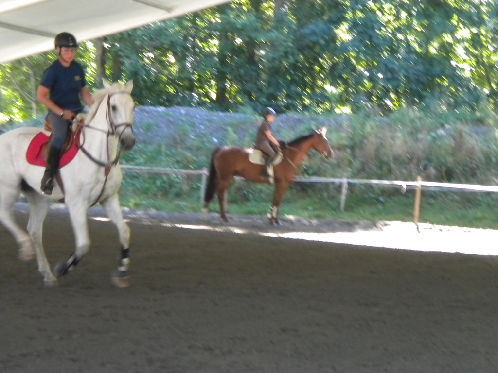 Bild 011_jpg-1280681527
