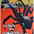 rache-schwarzen-spinne.jpg