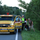 normal_02082010vulkwffaktivnews_15.jpg