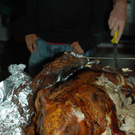 DSC_5916.JPG