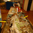 DSC_5988.JPG