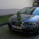 DSC06706.JPG