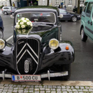 DSC06464.JPG