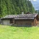 IMG_7772_JPG-1280750371