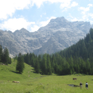 IMG_7782_JPG-1280750452