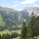 IMG_7784_JPG-1280750479