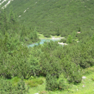 IMG_7790_JPG-1280750514