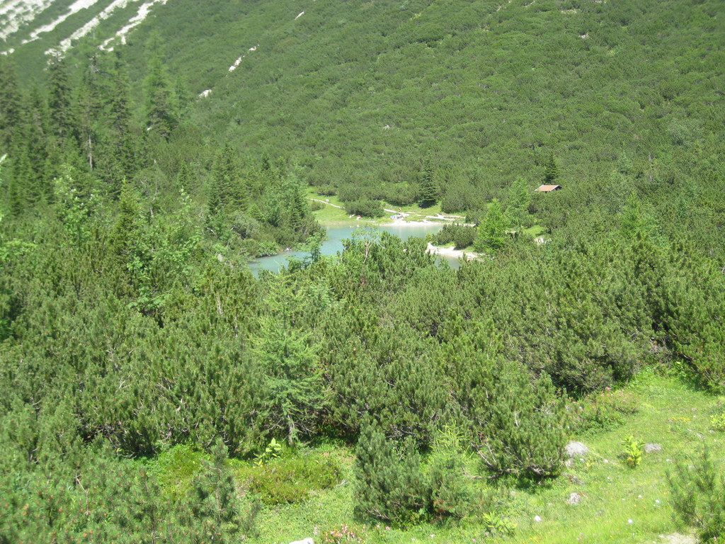 IMG_7790_JPG-1280750514