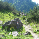 IMG_7791_JPG-1280750551
