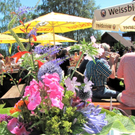 KOE_100 Jahre Ferienheim Amerl__gen 38_jpg-1280751680